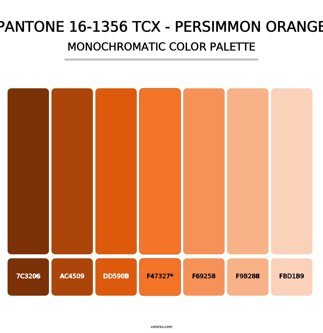 PANTONE 16-1356 TCX - Persimmon Orange - Monochromatic Color Palette