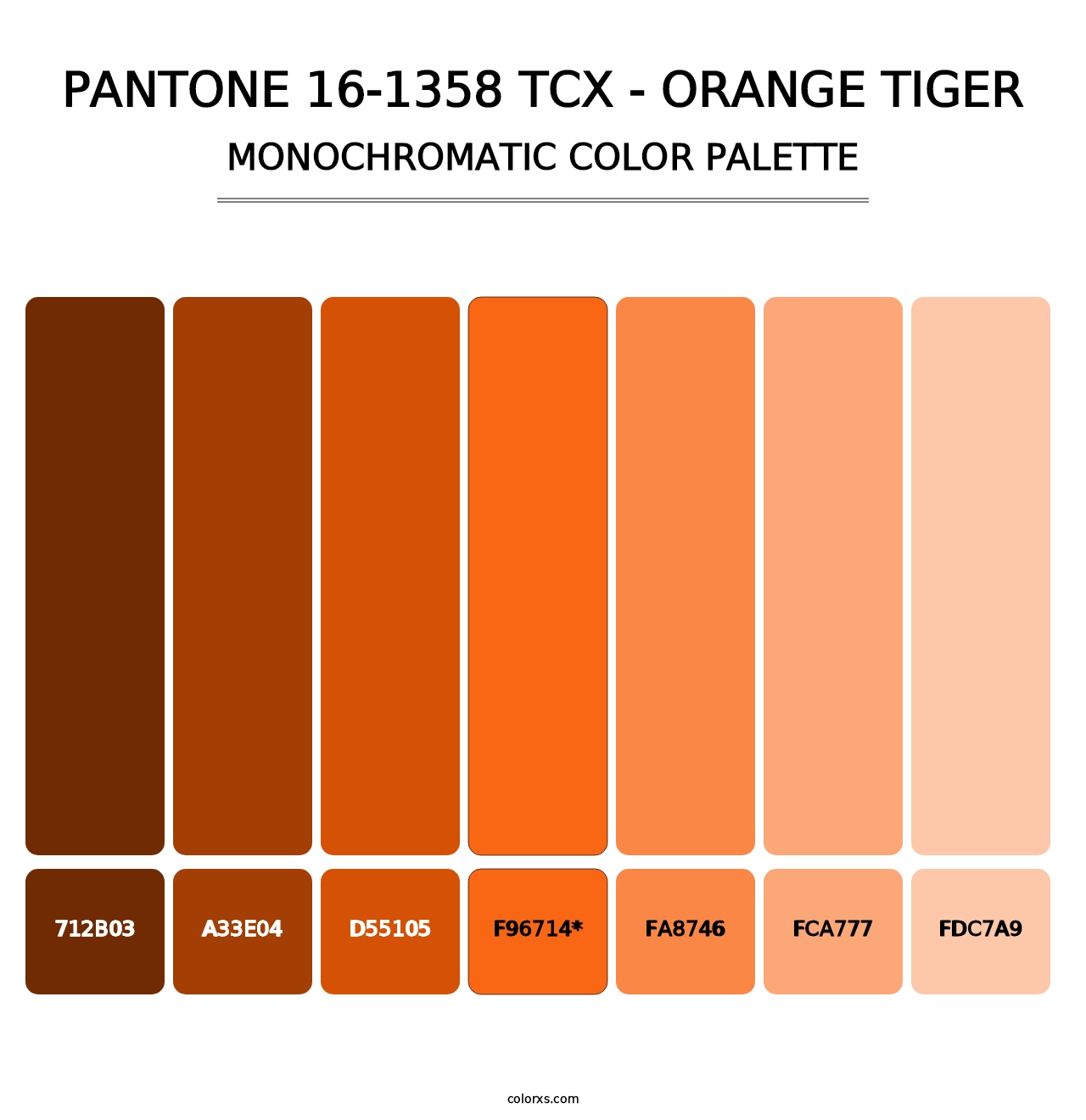 PANTONE 16-1358 TCX - Orange Tiger - Monochromatic Color Palette