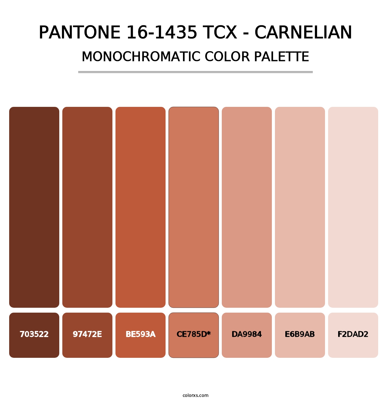 PANTONE 16-1435 TCX - Carnelian - Monochromatic Color Palette