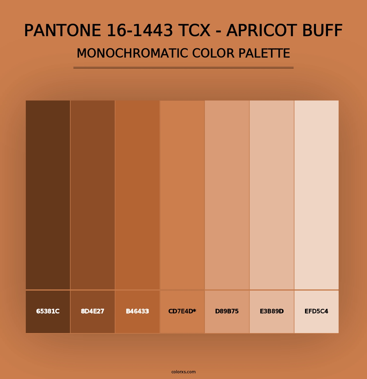 PANTONE 16-1443 TCX - Apricot Buff - Monochromatic Color Palette