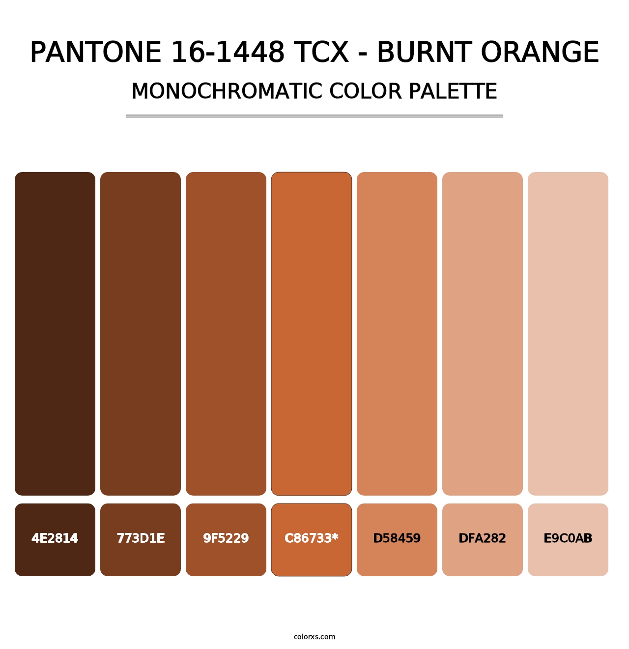 PANTONE 16-1448 TCX - Burnt Orange - Monochromatic Color Palette