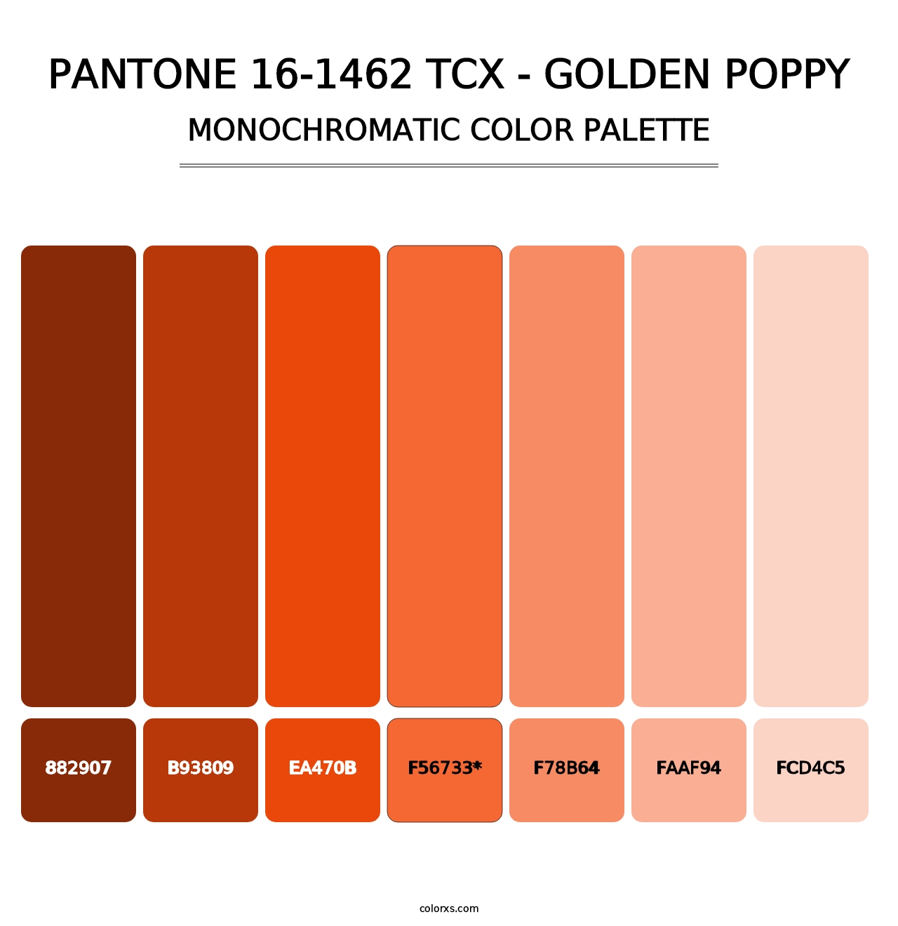 PANTONE 16-1462 TCX - Golden Poppy - Monochromatic Color Palette