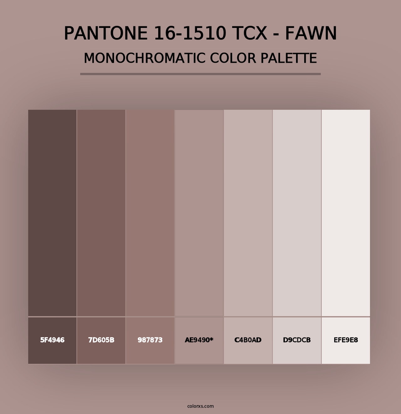 PANTONE 16-1510 TCX - Fawn - Monochromatic Color Palette