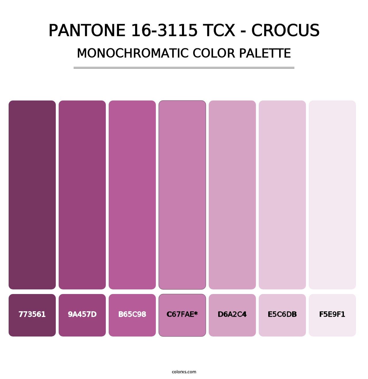 PANTONE 16-3115 TCX - Crocus - Monochromatic Color Palette