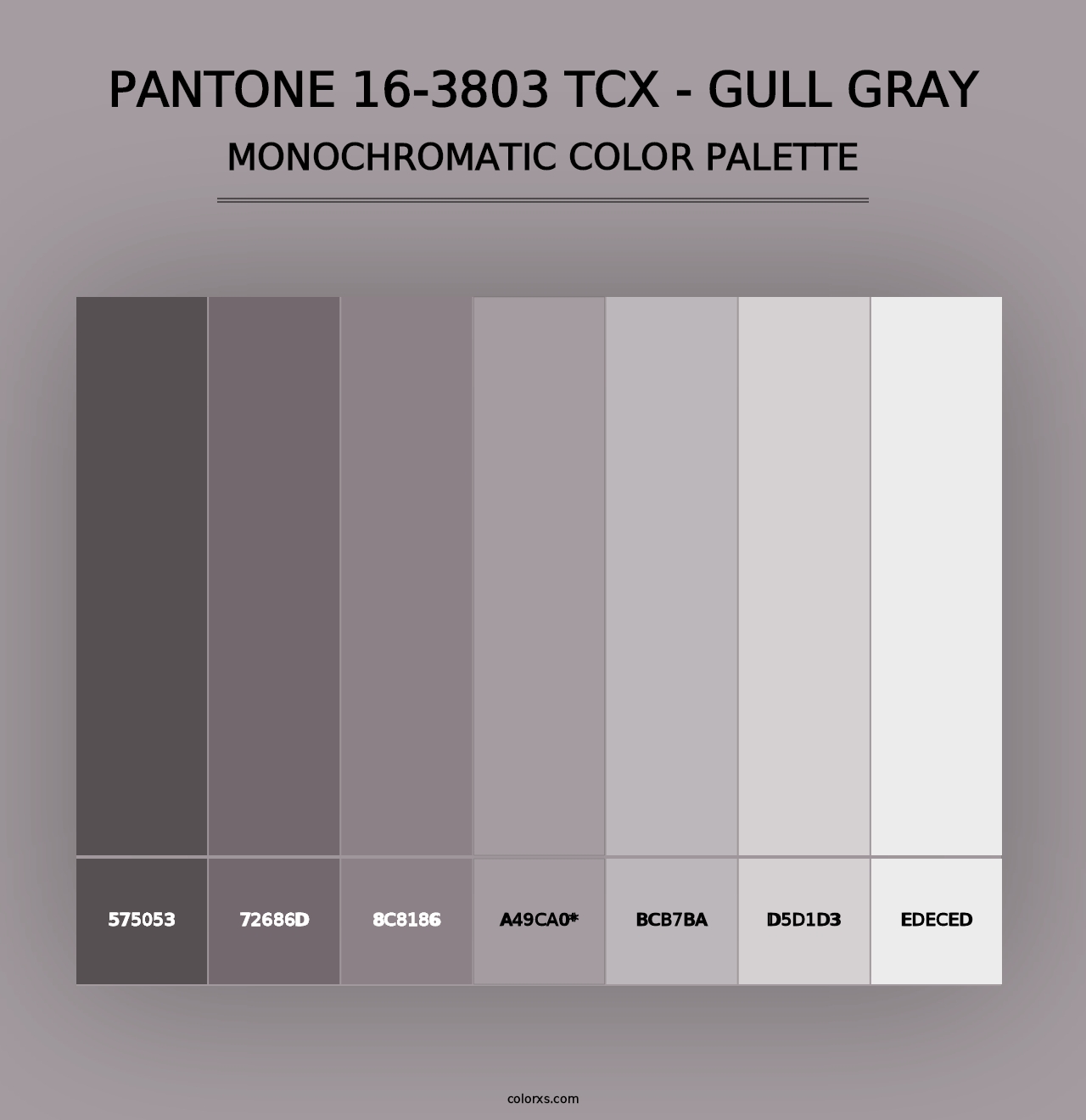 PANTONE 16-3803 TCX - Gull Gray - Monochromatic Color Palette