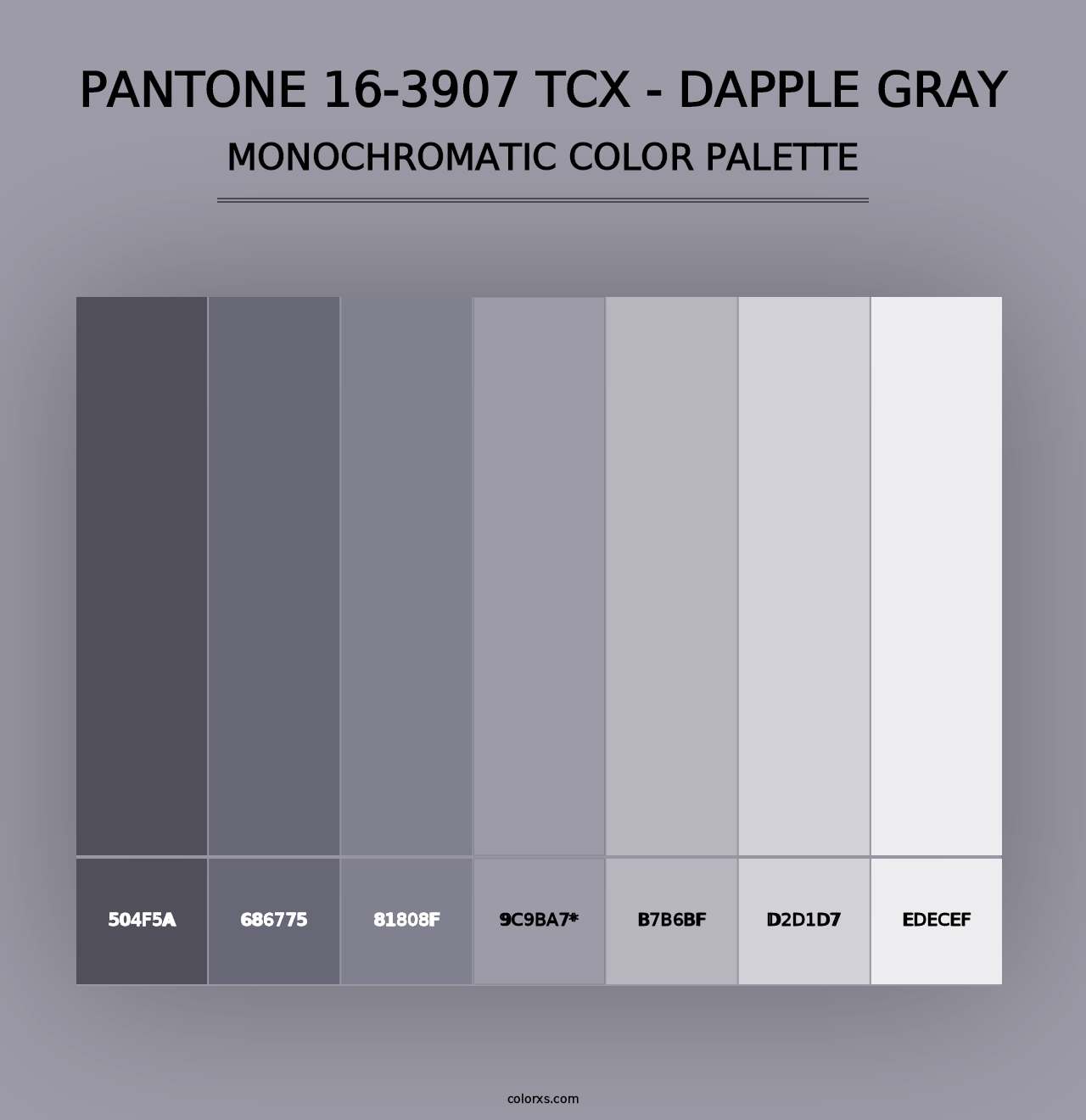 PANTONE 16-3907 TCX - Dapple Gray - Monochromatic Color Palette