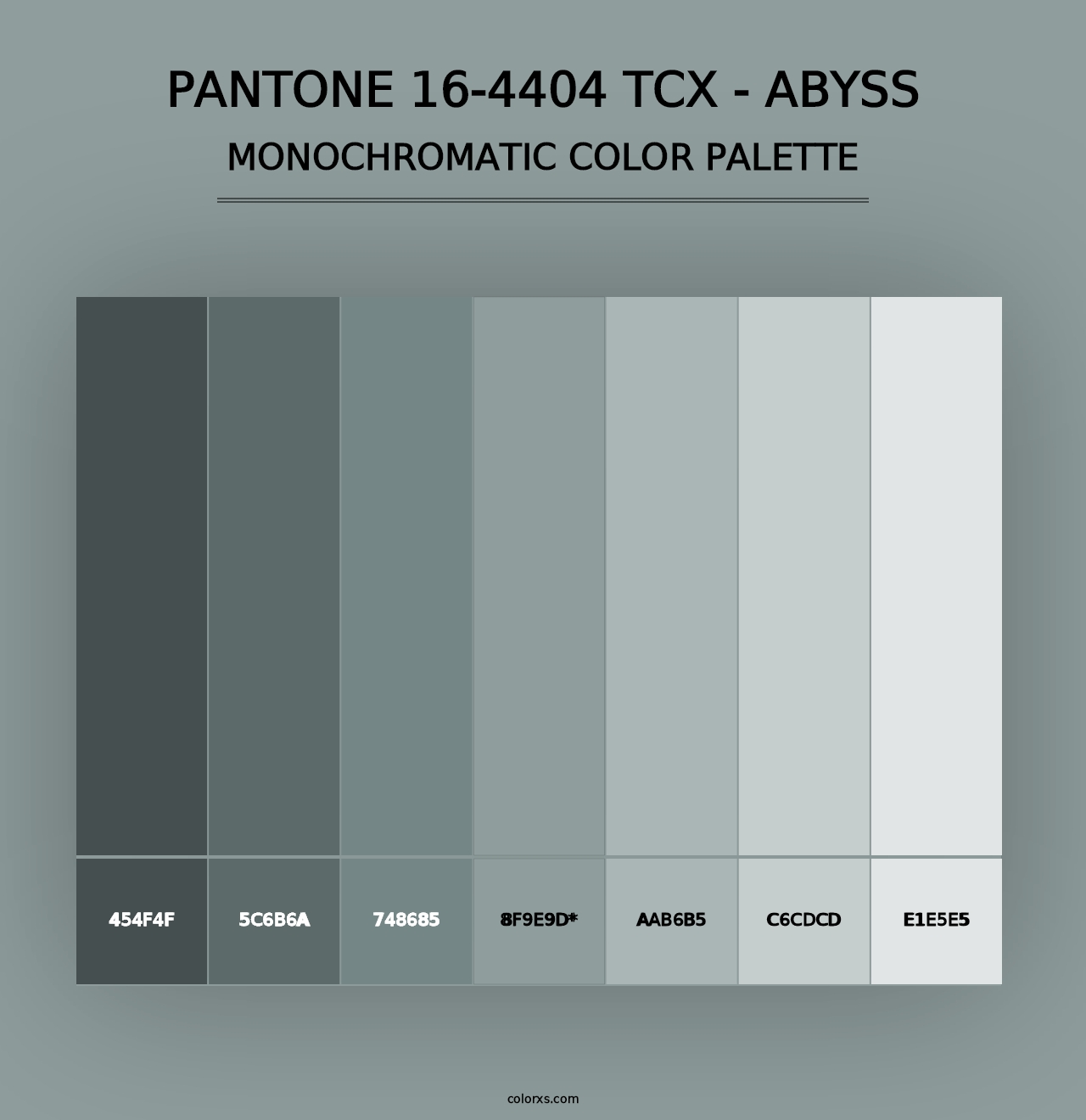 PANTONE 16-4404 TCX - Abyss - Monochromatic Color Palette