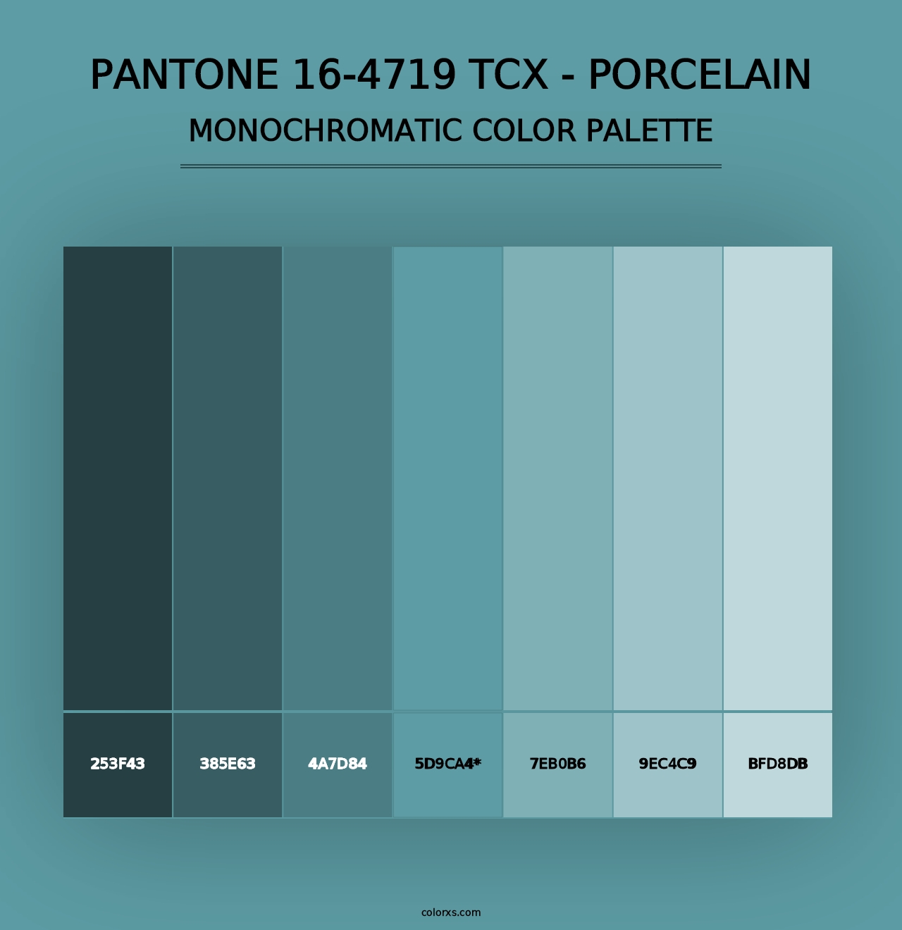 PANTONE 16-4719 TCX - Porcelain - Monochromatic Color Palette