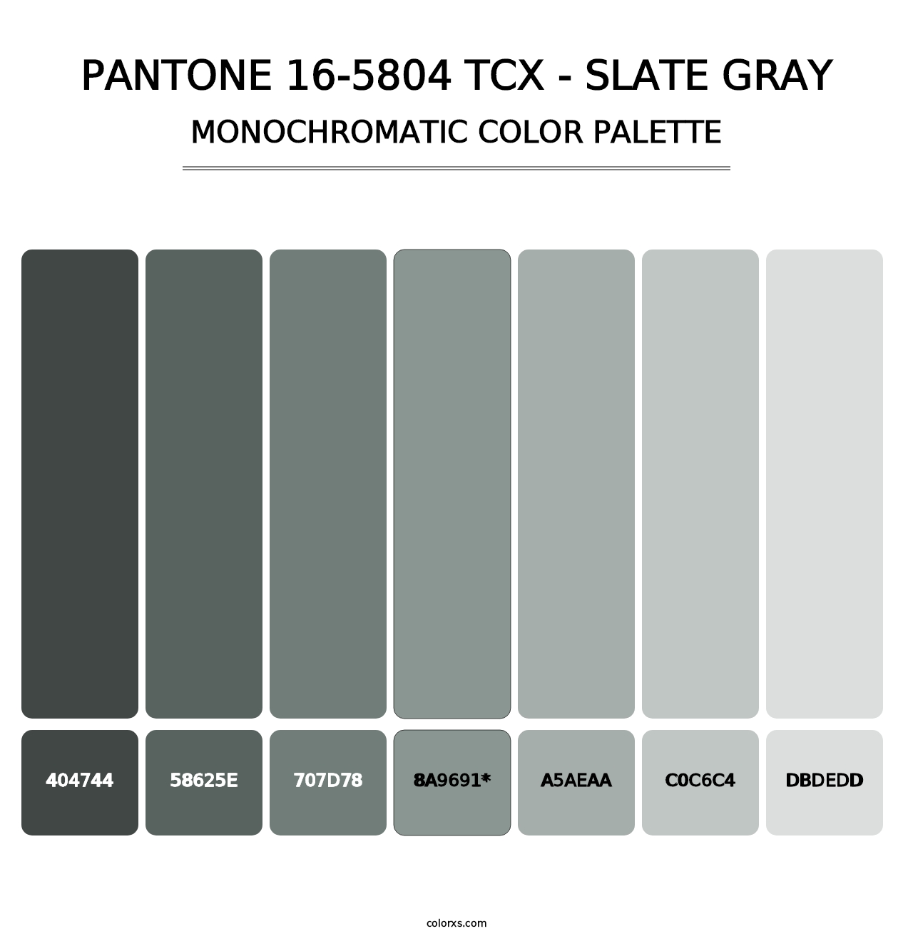 PANTONE 16-5804 TCX - Slate Gray - Monochromatic Color Palette