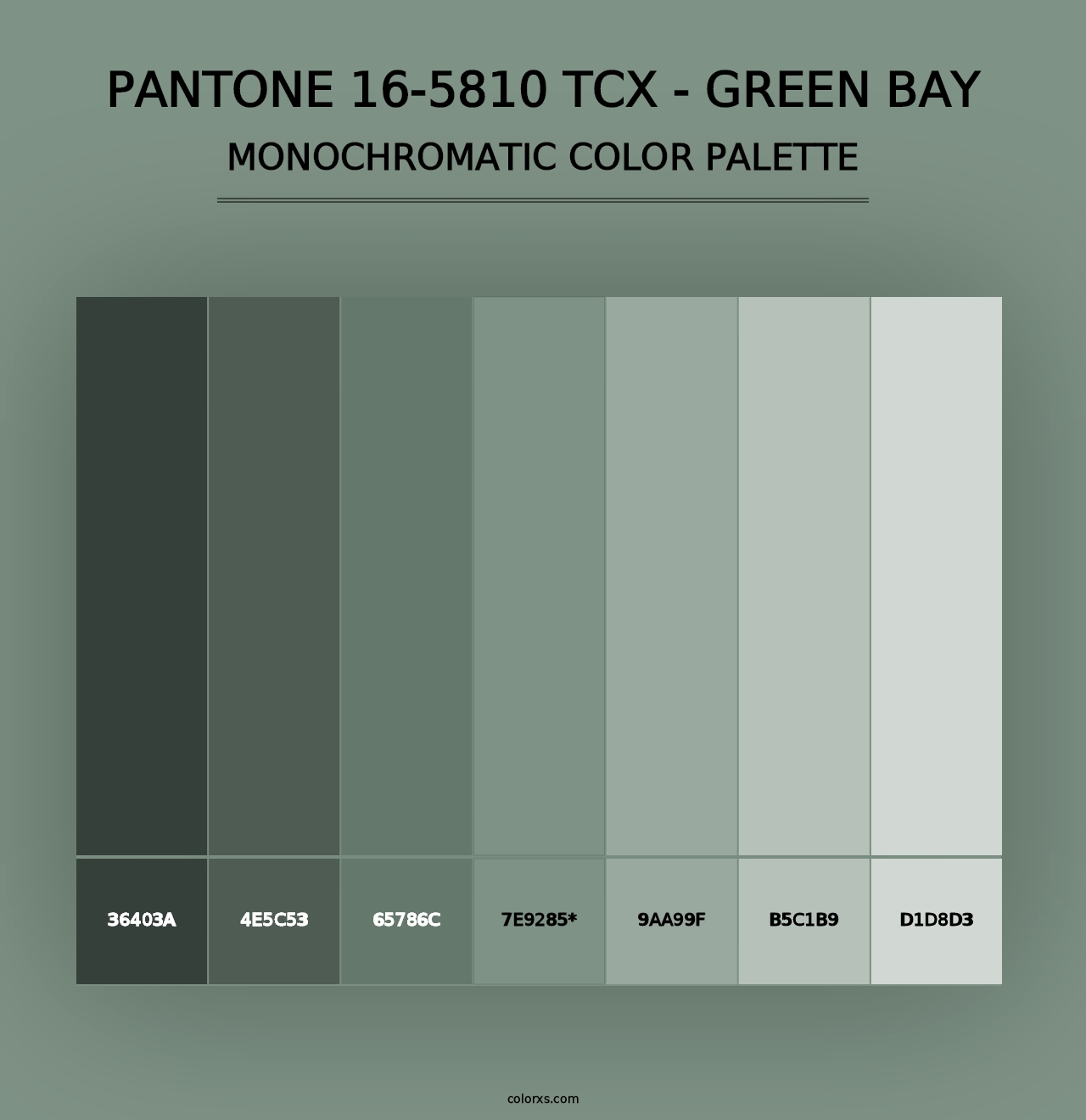 PANTONE 16-5810 TCX - Green Bay - Monochromatic Color Palette