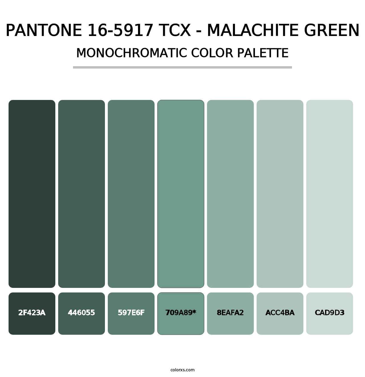 PANTONE 16-5917 TCX - Malachite Green - Monochromatic Color Palette