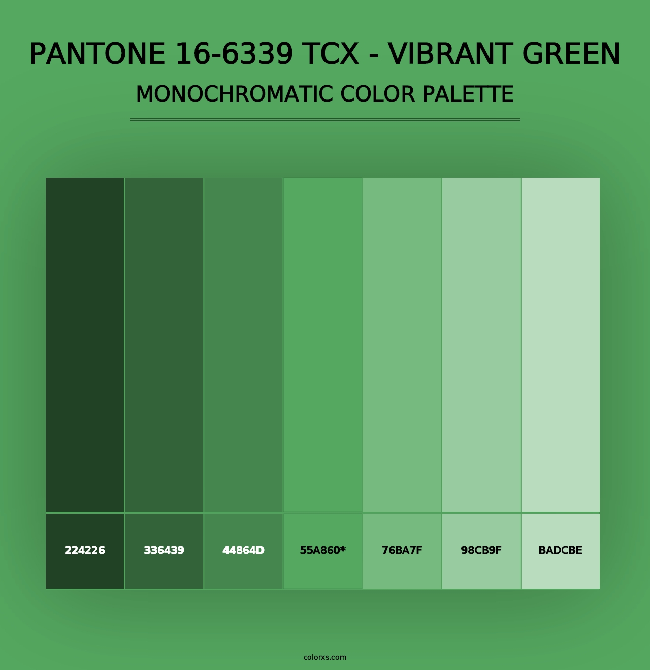 PANTONE 16-6339 TCX - Vibrant Green - Monochromatic Color Palette