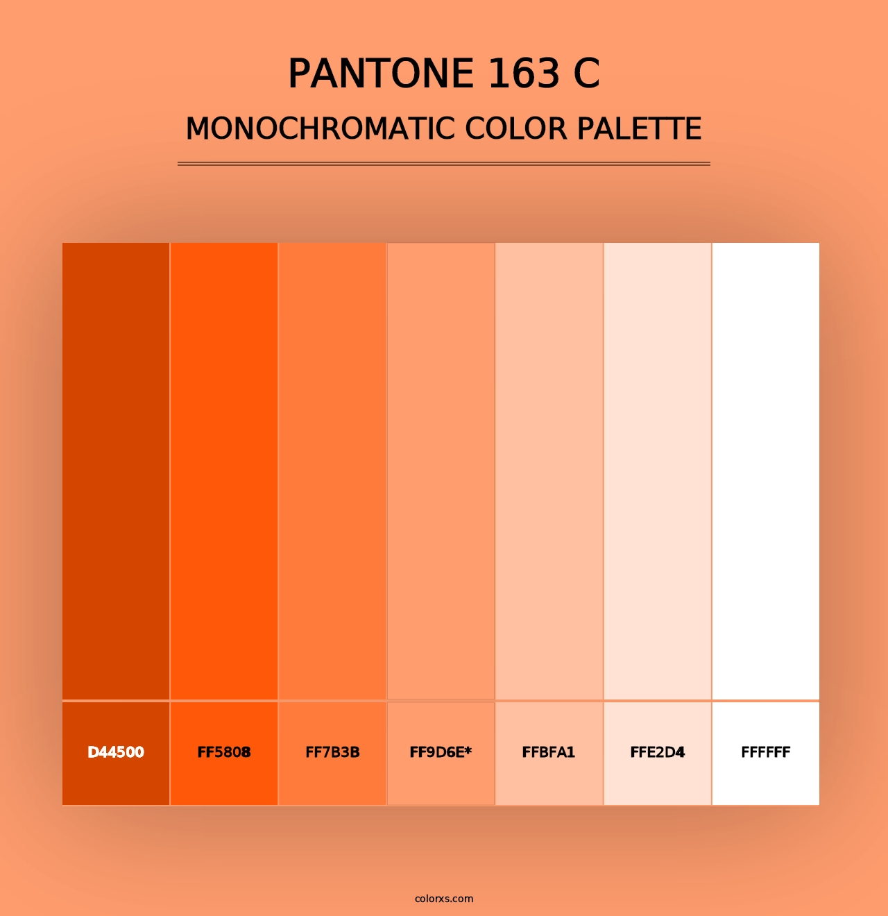 PANTONE 163 C - Monochromatic Color Palette