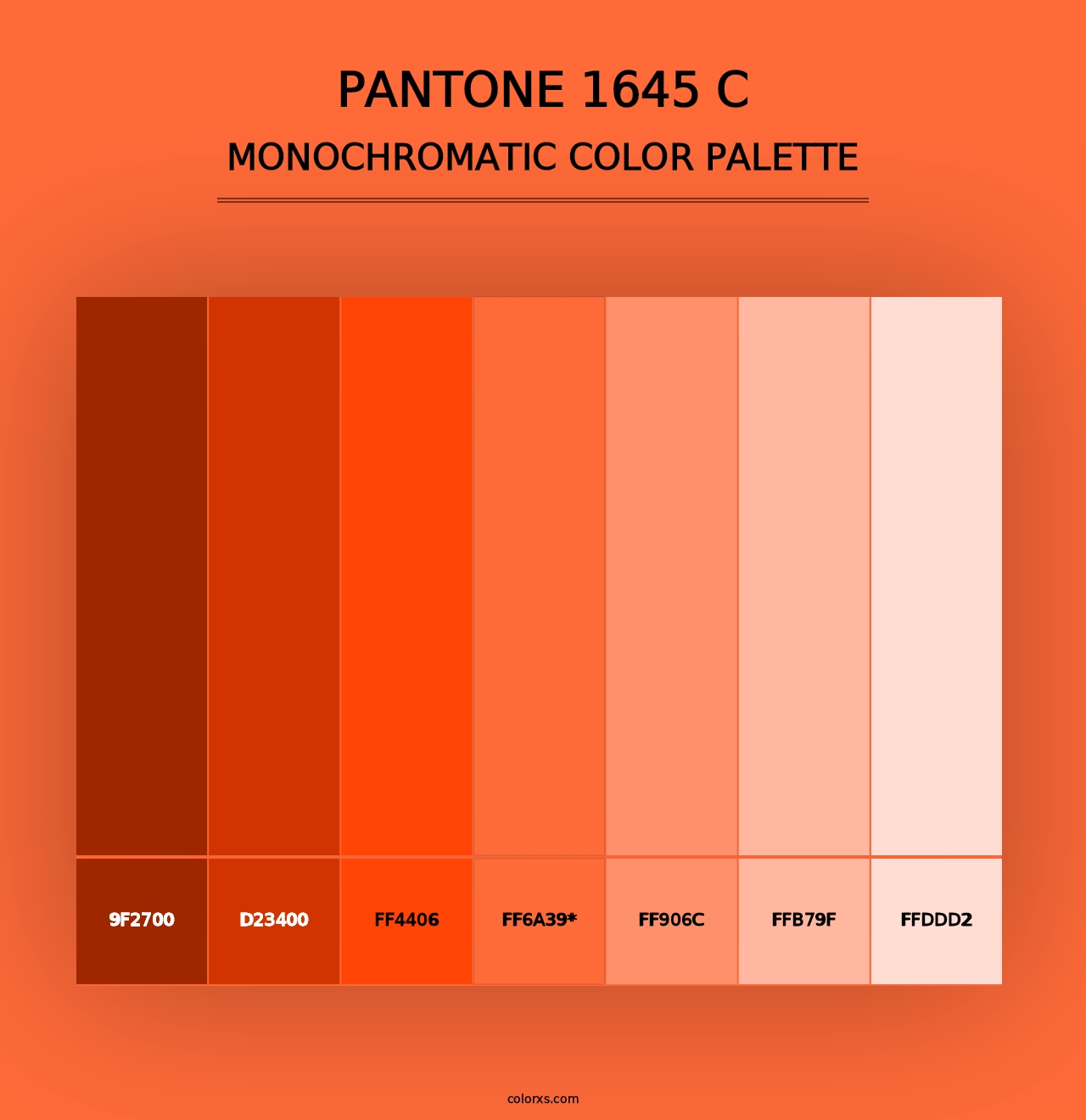 PANTONE 1645 C - Monochromatic Color Palette