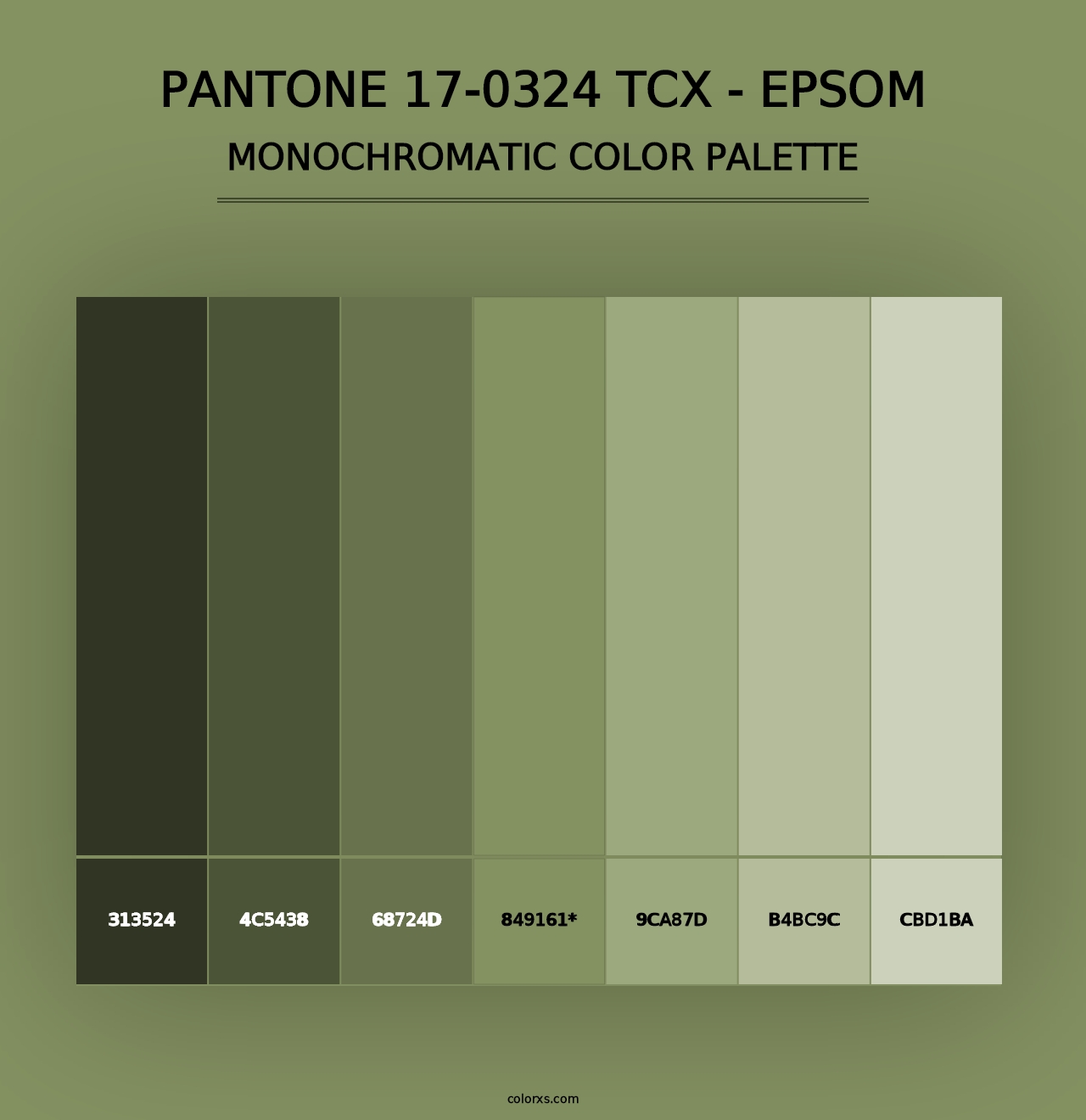 PANTONE 17-0324 TCX - Epsom - Monochromatic Color Palette