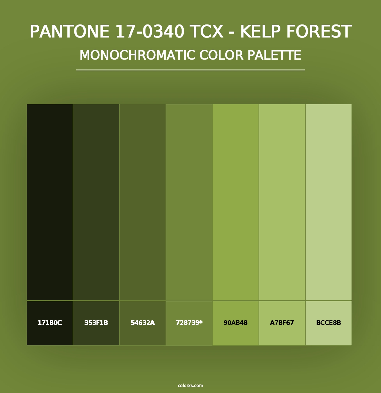 PANTONE 17-0340 TCX - Kelp Forest - Monochromatic Color Palette