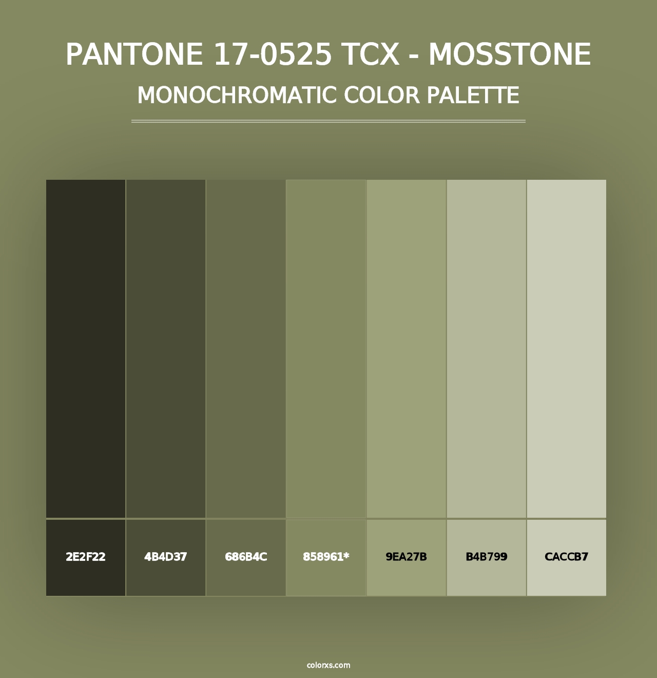 PANTONE 17-0525 TCX - Mosstone - Monochromatic Color Palette