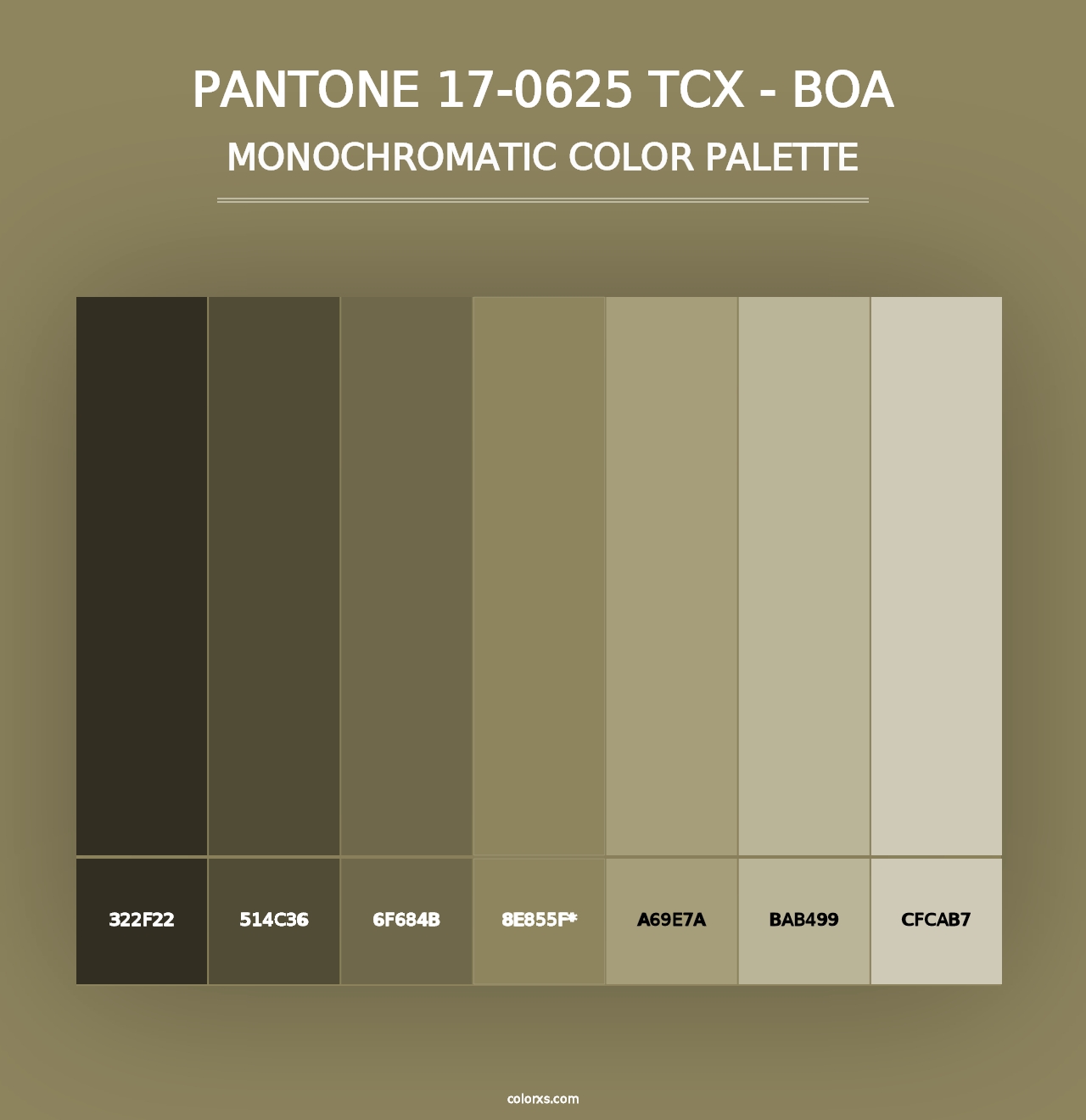 PANTONE 17-0625 TCX - Boa - Monochromatic Color Palette