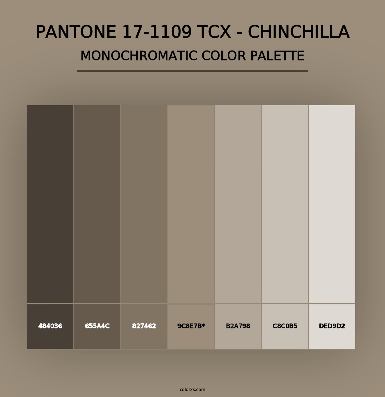 PANTONE 17-1109 TCX - Chinchilla - Monochromatic Color Palette