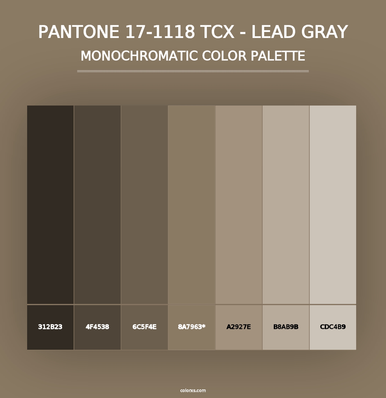 PANTONE 17-1118 TCX - Lead Gray - Monochromatic Color Palette