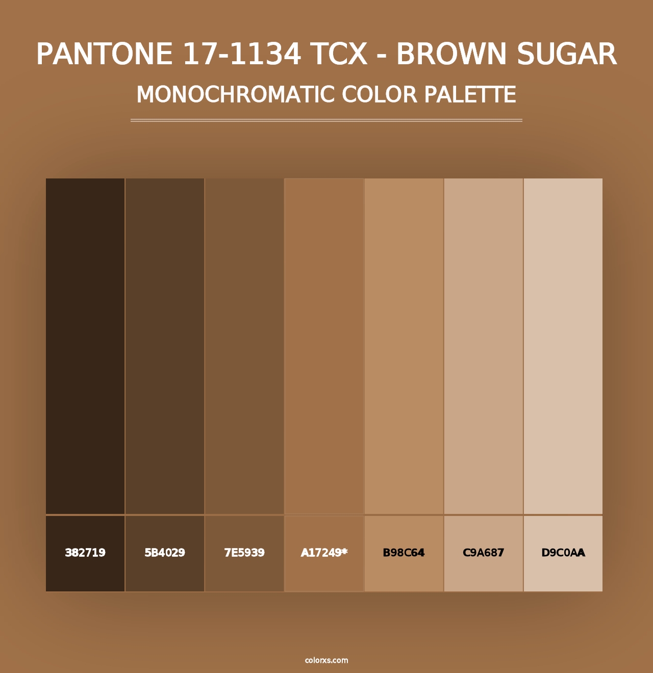 PANTONE 17-1134 TCX - Brown Sugar - Monochromatic Color Palette