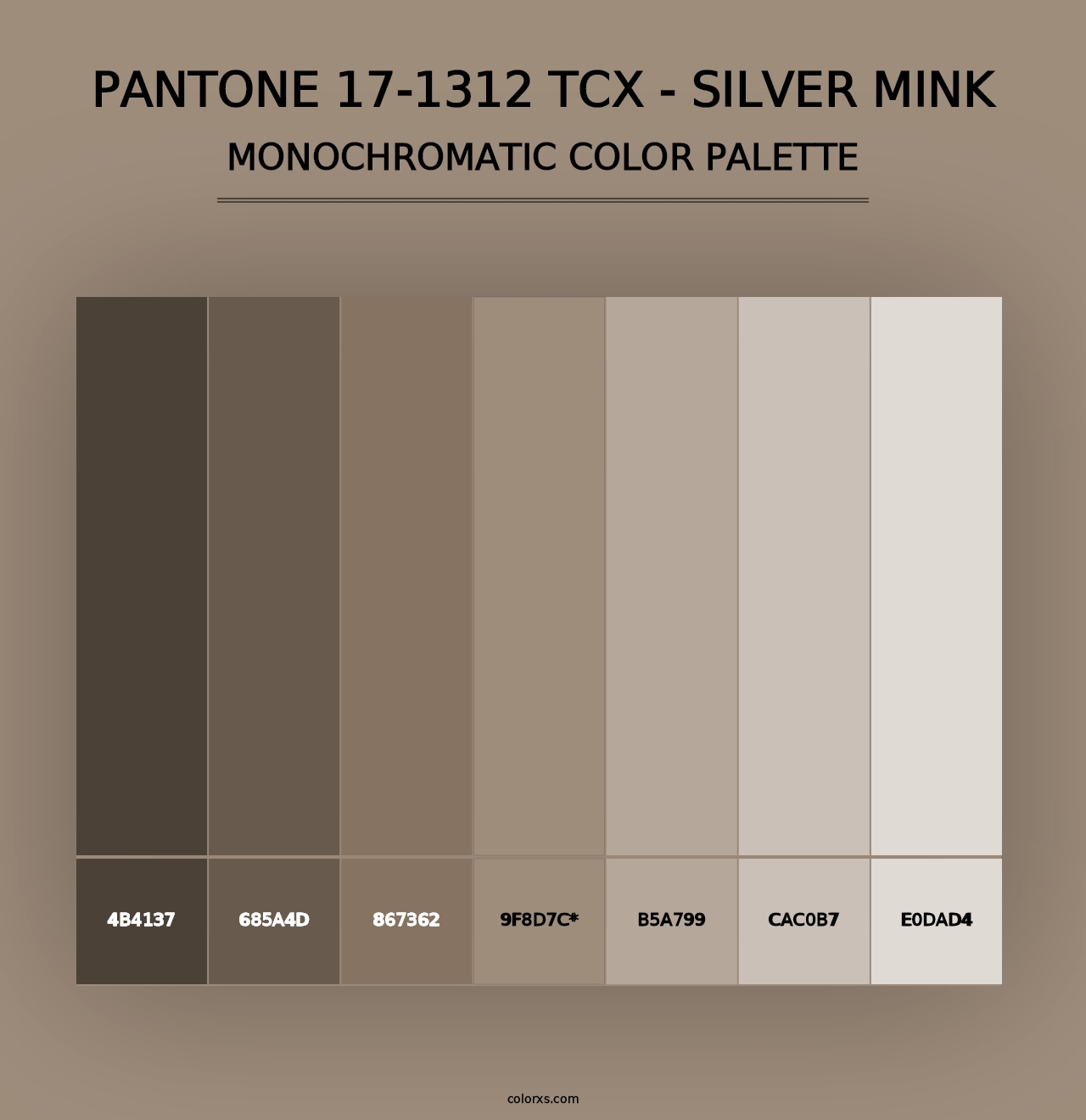 PANTONE 17-1312 TCX - Silver Mink - Monochromatic Color Palette