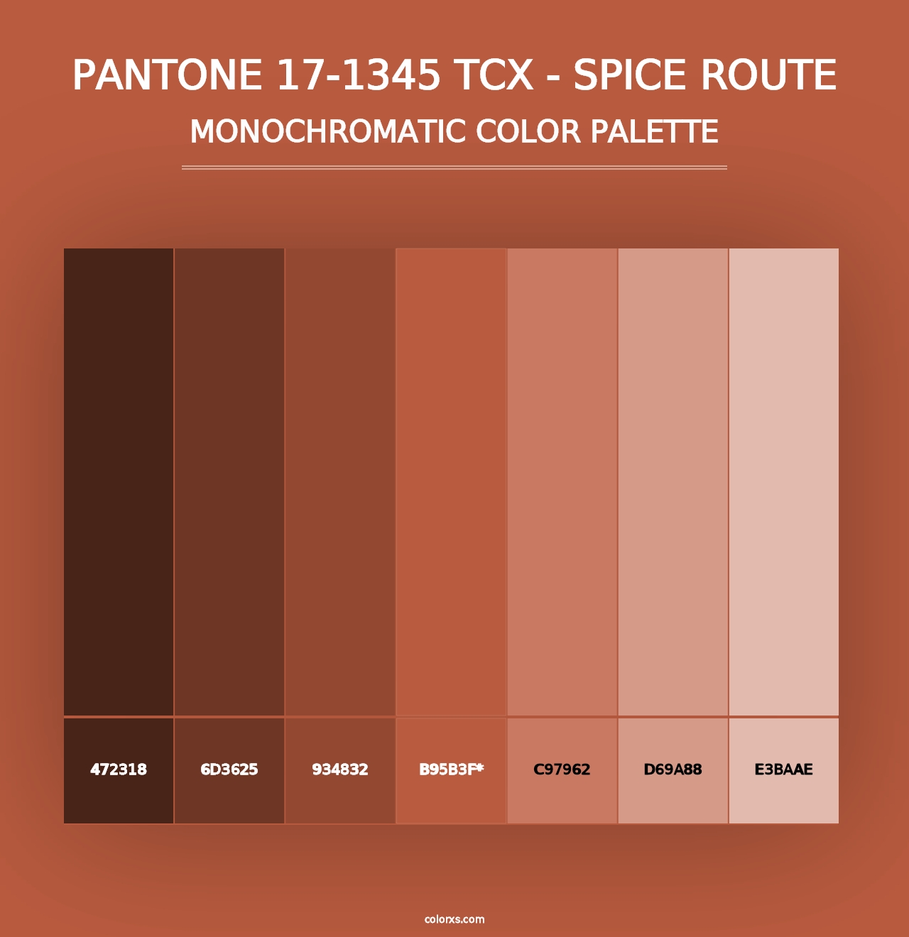 PANTONE 17-1345 TCX - Spice Route - Monochromatic Color Palette