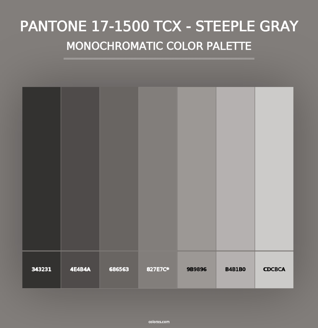 PANTONE 17-1500 TCX - Steeple Gray - Monochromatic Color Palette