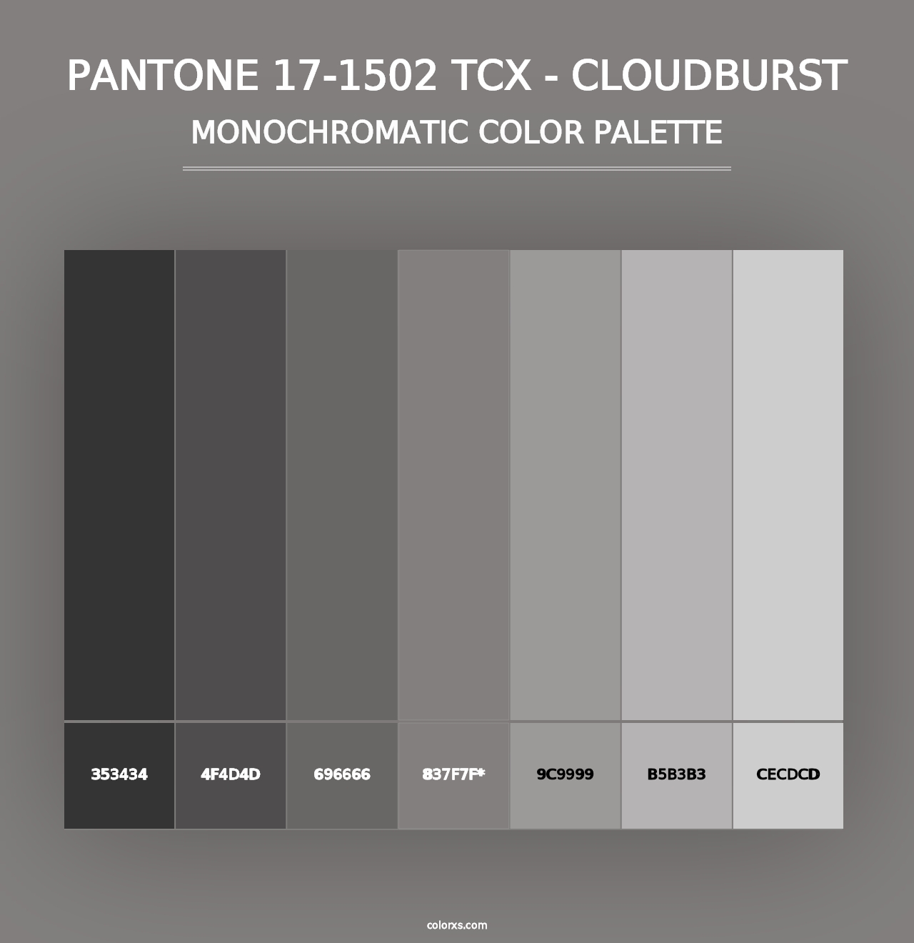 PANTONE 17-1502 TCX - Cloudburst - Monochromatic Color Palette