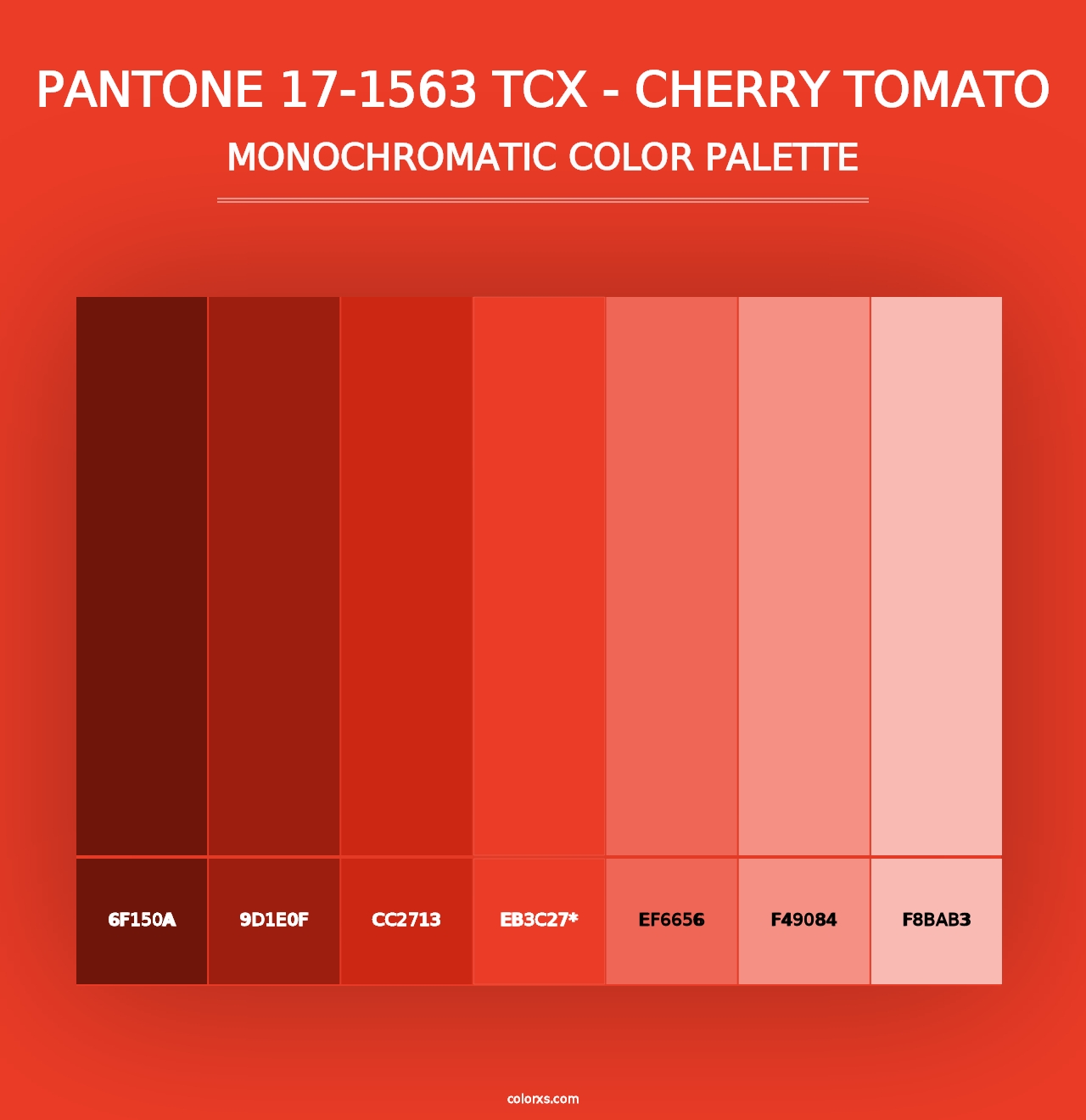 PANTONE 17-1563 TCX - Cherry Tomato - Monochromatic Color Palette