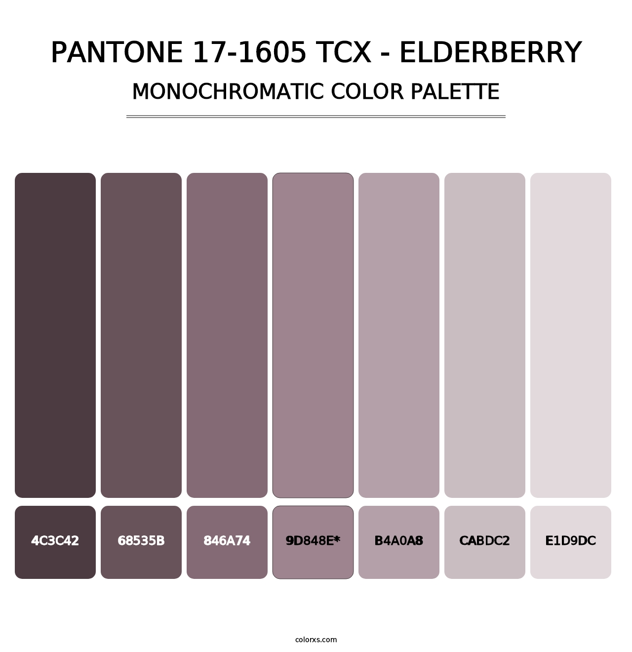 PANTONE 17-1605 TCX - Elderberry - Monochromatic Color Palette