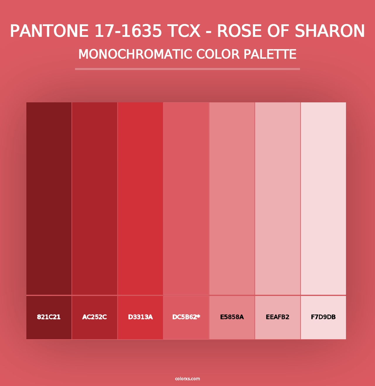 PANTONE 17-1635 TCX - Rose of Sharon - Monochromatic Color Palette