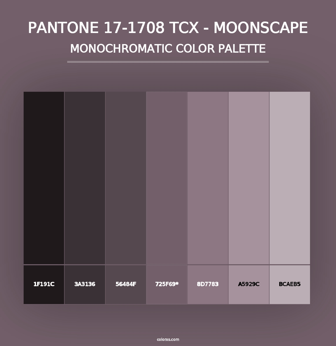 PANTONE 17-1708 TCX - Moonscape - Monochromatic Color Palette