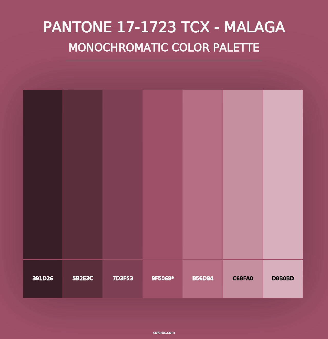 PANTONE 17-1723 TCX - Malaga - Monochromatic Color Palette