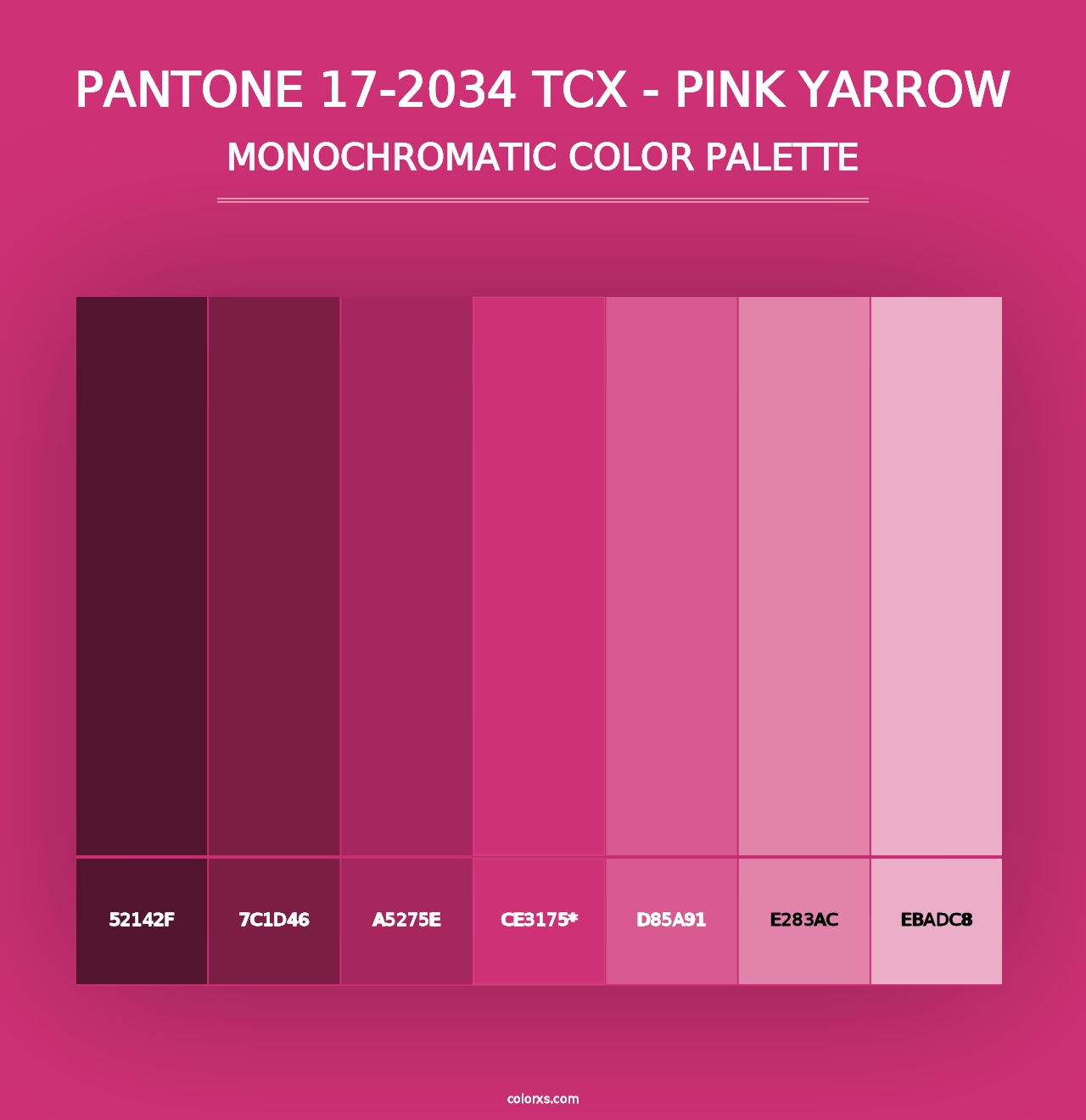 PANTONE 17-2034 TCX - Pink Yarrow - Monochromatic Color Palette