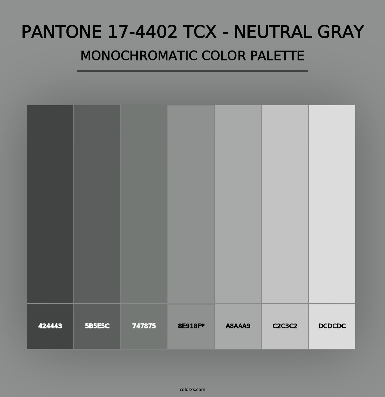 PANTONE 17-4402 TCX - Neutral Gray - Monochromatic Color Palette