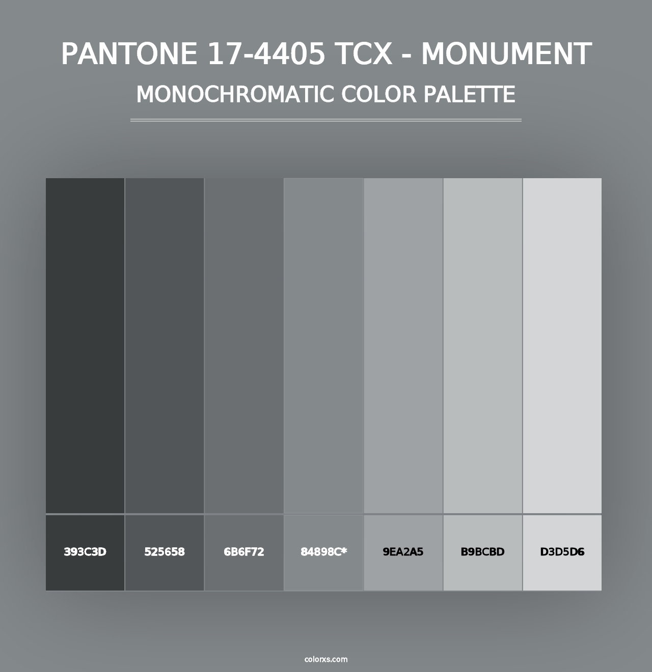 PANTONE 17-4405 TCX - Monument - Monochromatic Color Palette