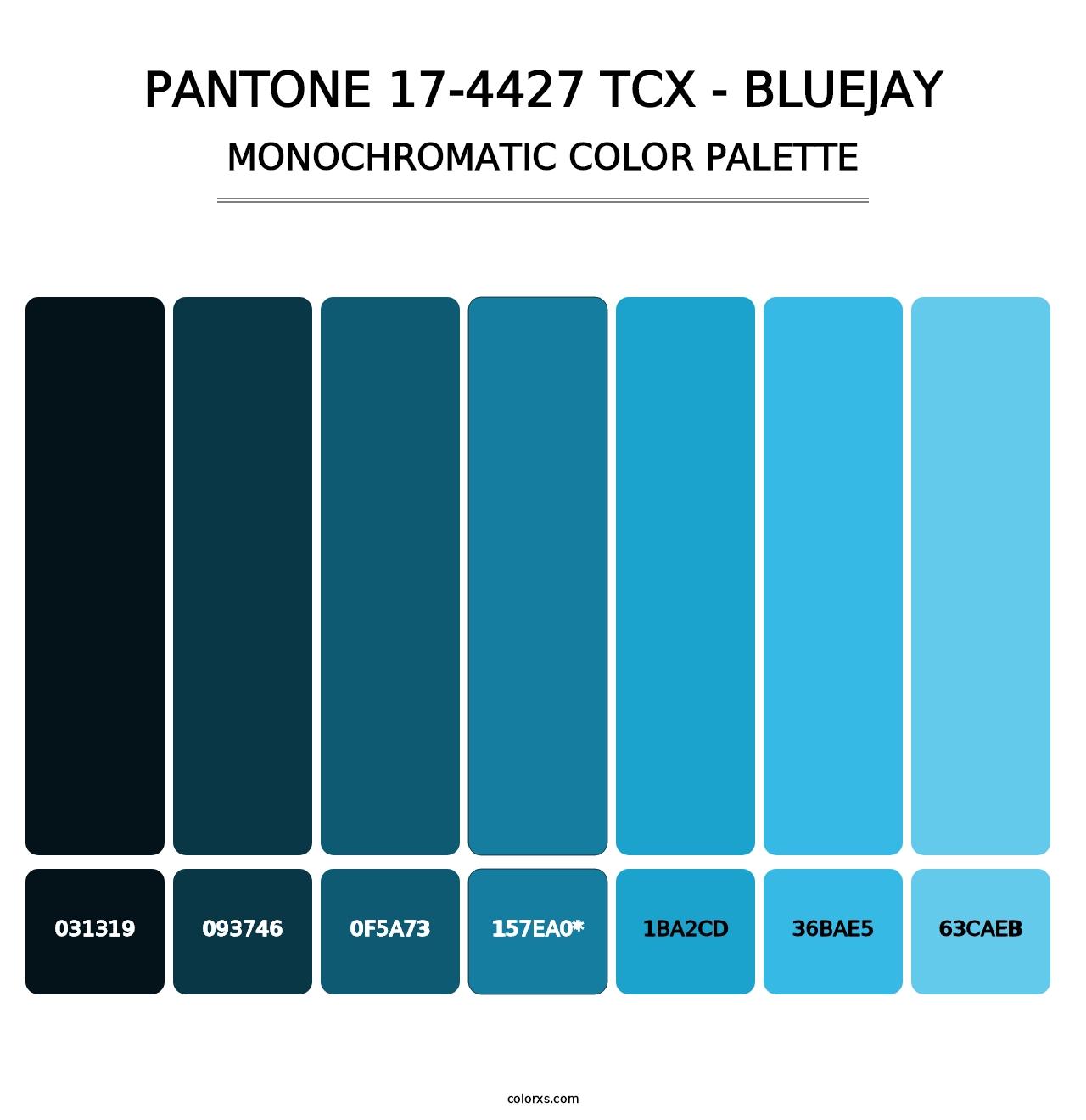 PANTONE 17-4427 TCX - Bluejay - Monochromatic Color Palette