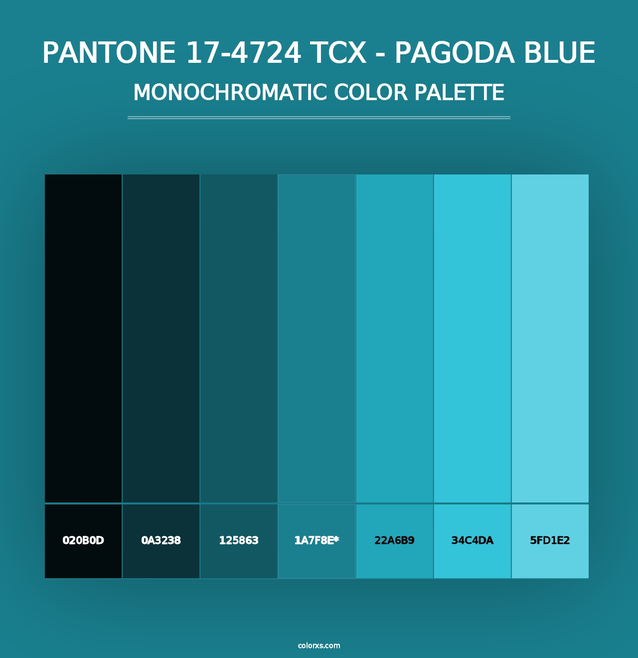 PANTONE 17-4724 TCX - Pagoda Blue - Monochromatic Color Palette