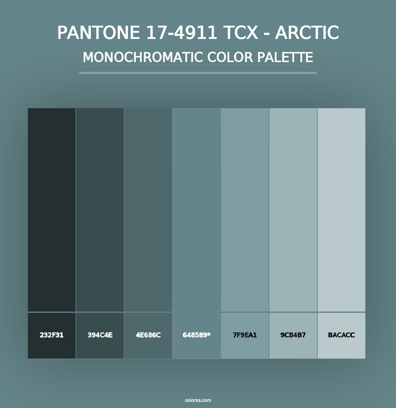 PANTONE 17-4911 TCX - Arctic - Monochromatic Color Palette