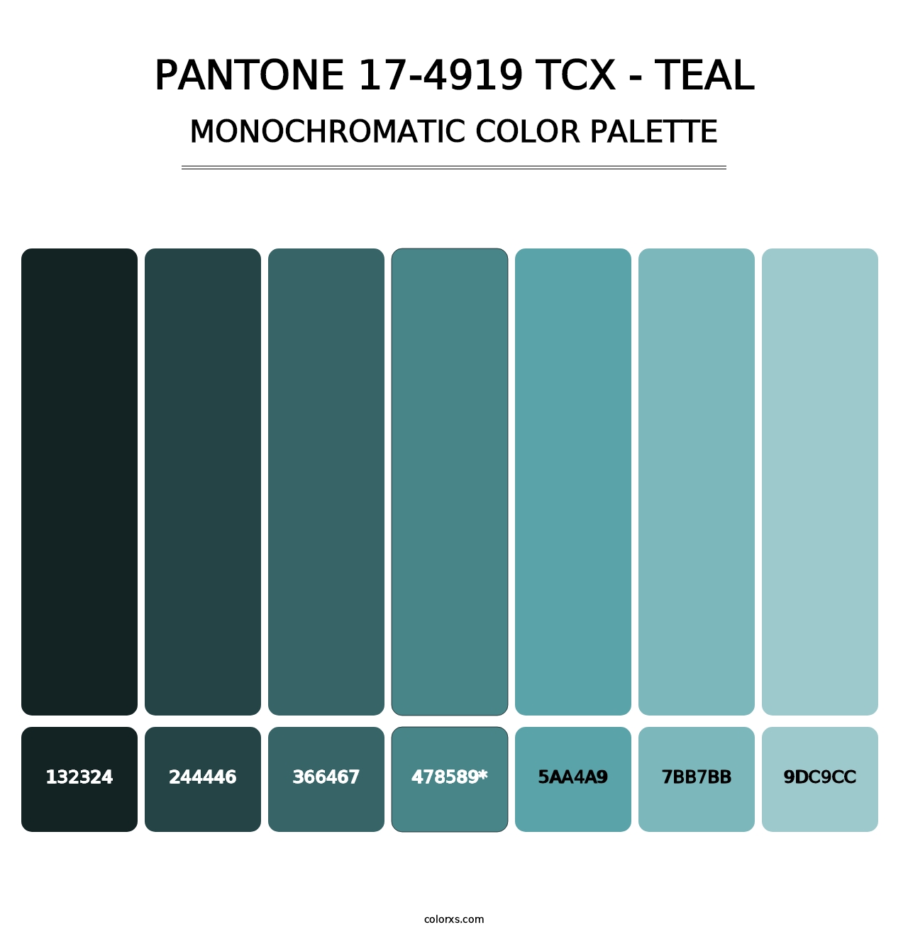 PANTONE 17-4919 TCX - Teal - Monochromatic Color Palette