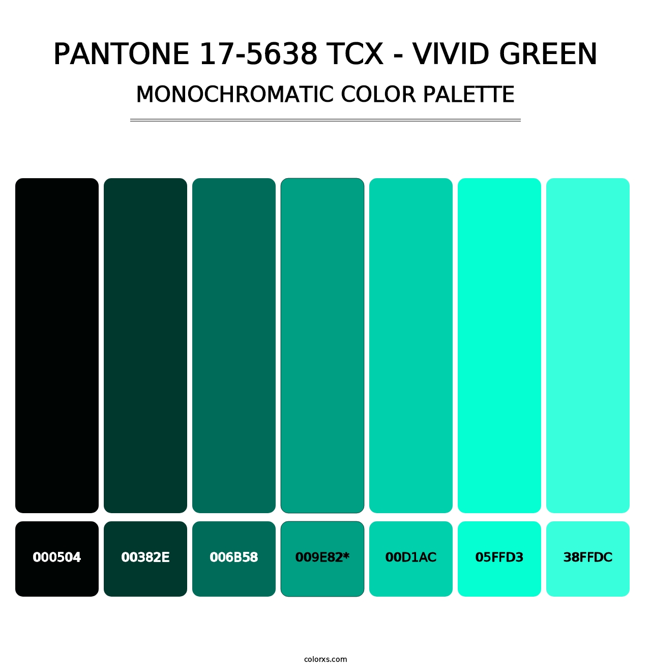 PANTONE 17-5638 TCX - Vivid Green - Monochromatic Color Palette