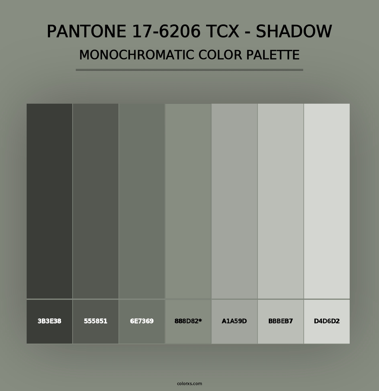 PANTONE 17-6206 TCX - Shadow - Monochromatic Color Palette