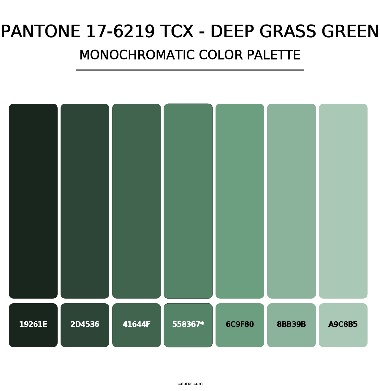 PANTONE 17-6219 TCX - Deep Grass Green - Monochromatic Color Palette