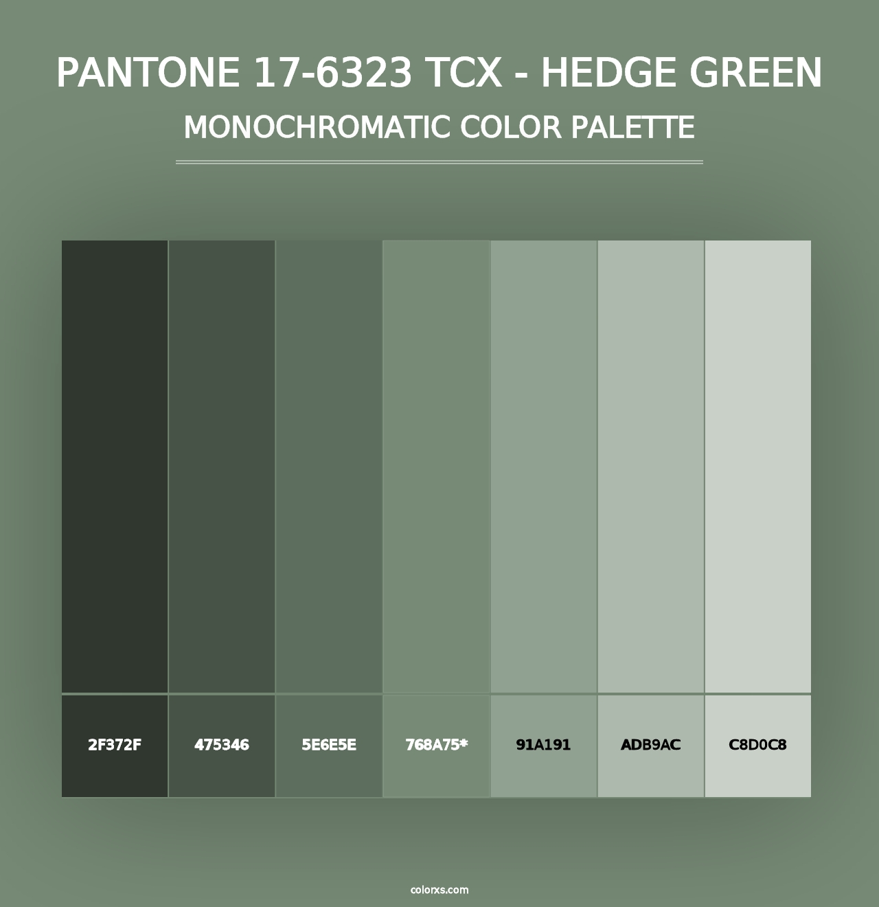 PANTONE 17-6323 TCX - Hedge Green - Monochromatic Color Palette