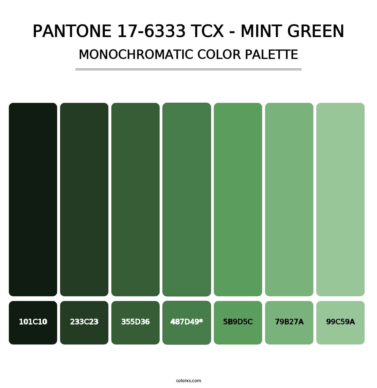 PANTONE 17-6333 TCX - Mint Green - Monochromatic Color Palette