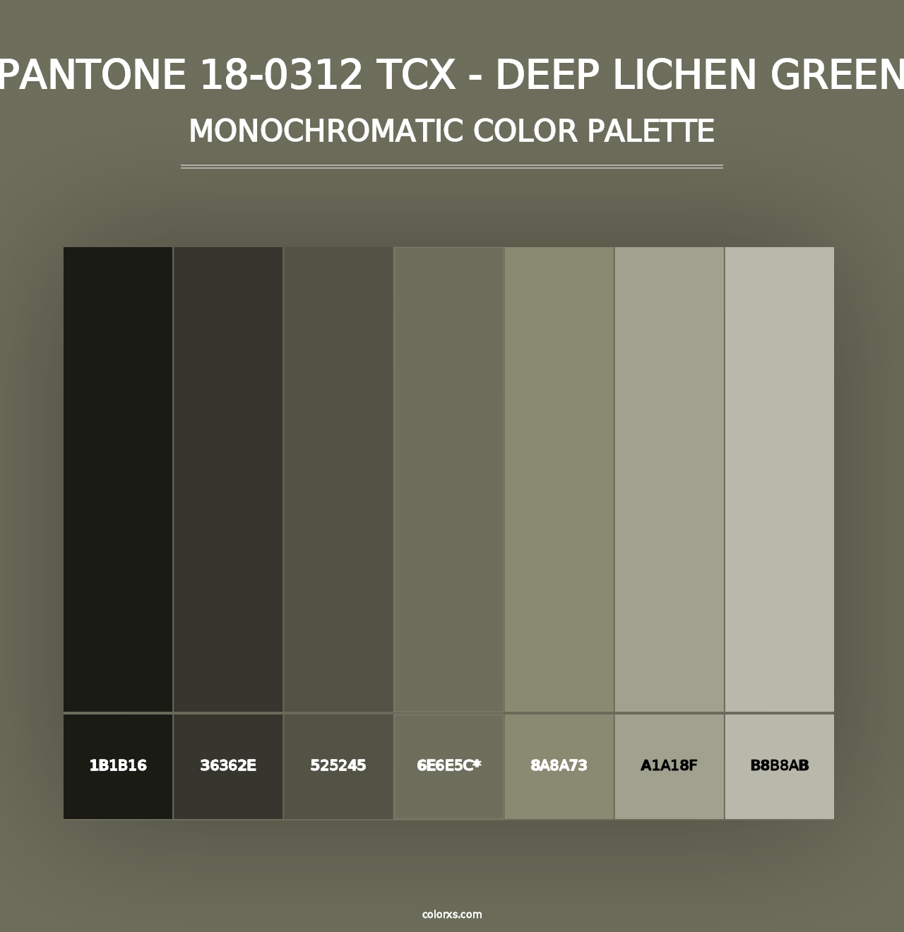 PANTONE 18-0312 TCX - Deep Lichen Green - Monochromatic Color Palette