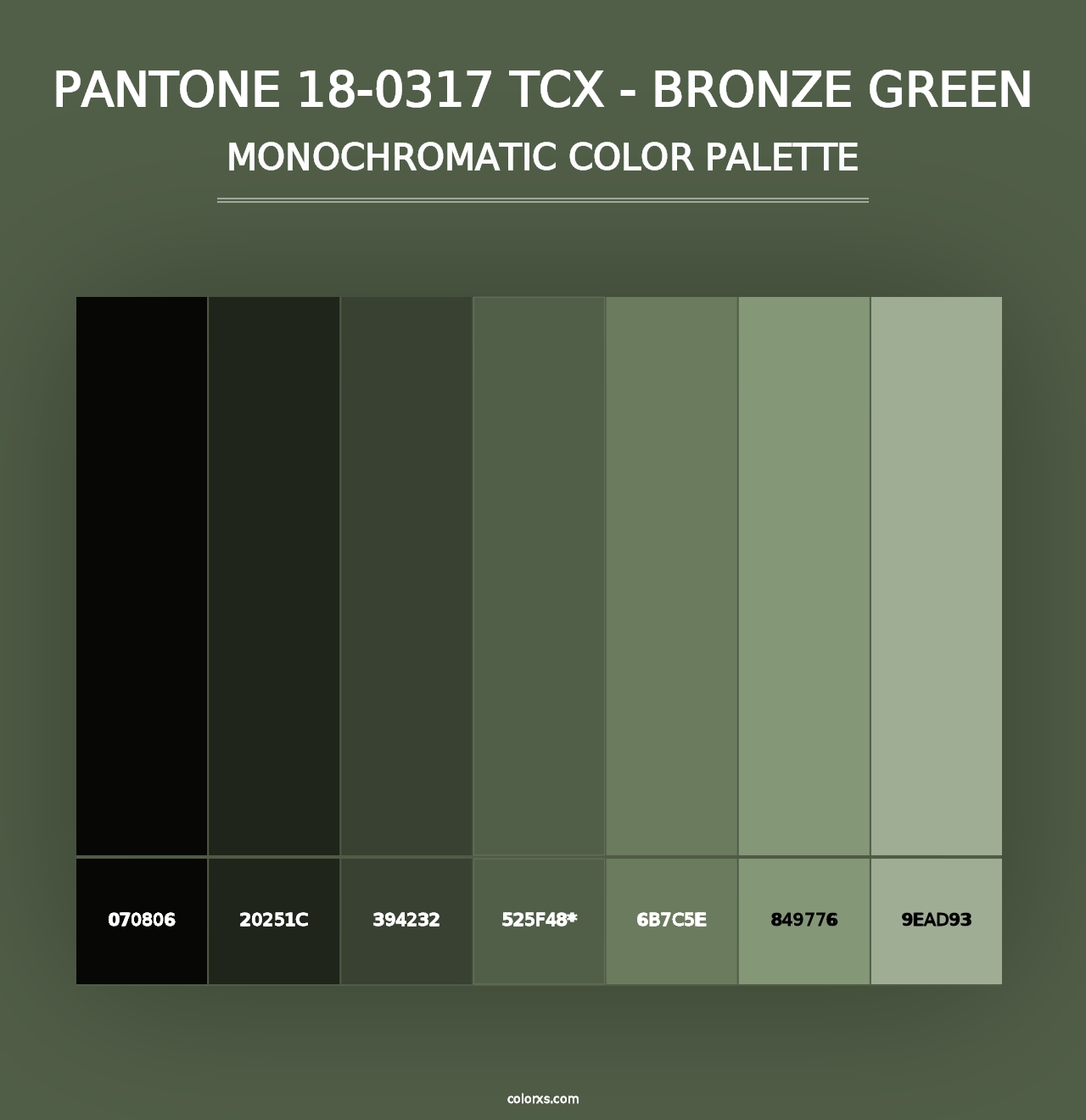 PANTONE 18-0317 TCX - Bronze Green - Monochromatic Color Palette