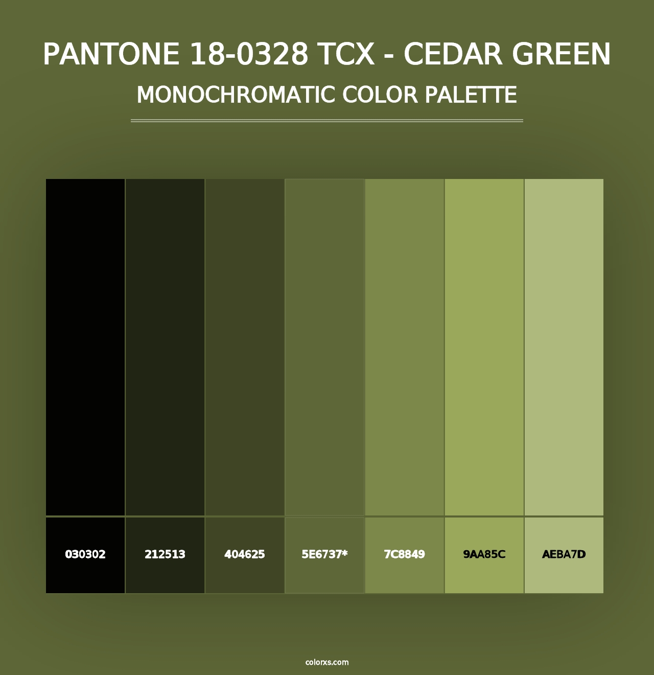 PANTONE 18-0328 TCX - Cedar Green - Monochromatic Color Palette