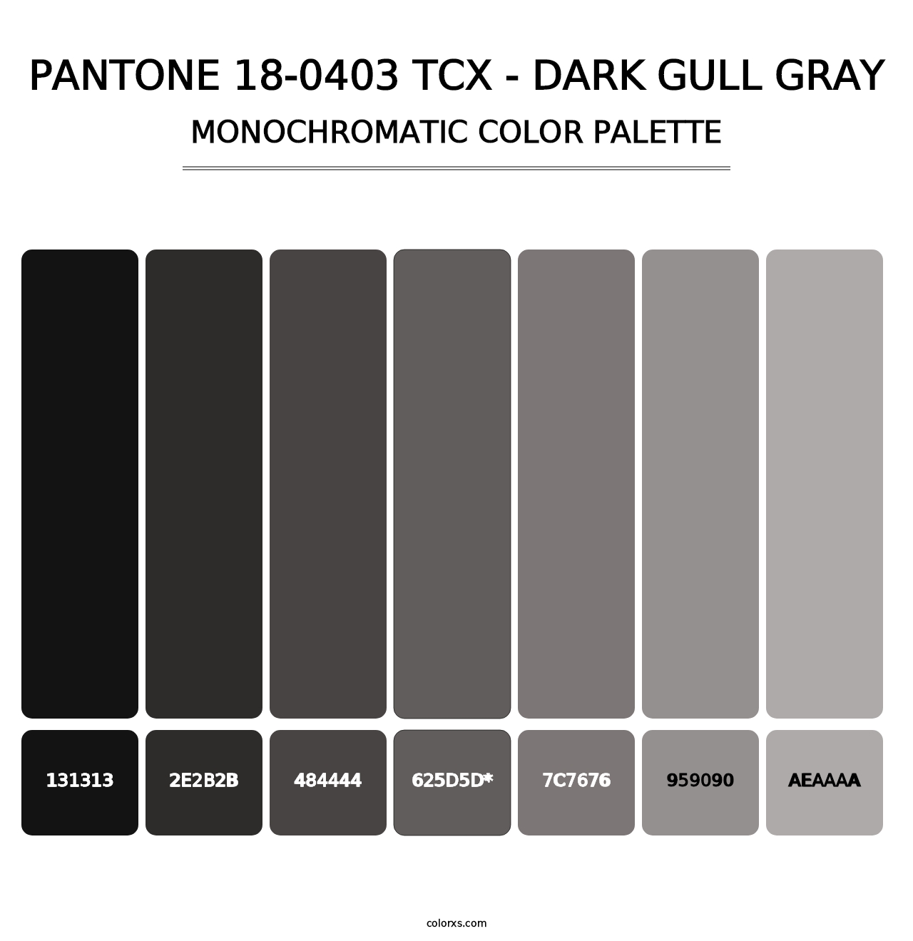 PANTONE 18-0403 TCX - Dark Gull Gray - Monochromatic Color Palette